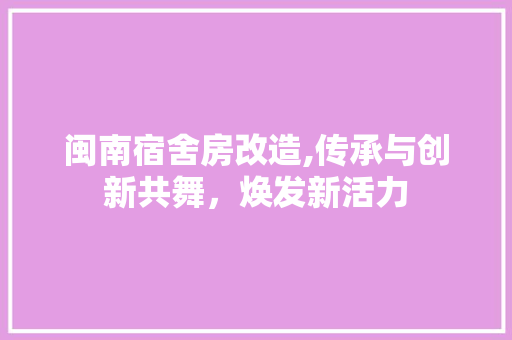 闽南宿舍房改造,传承与创新共舞，焕发新活力