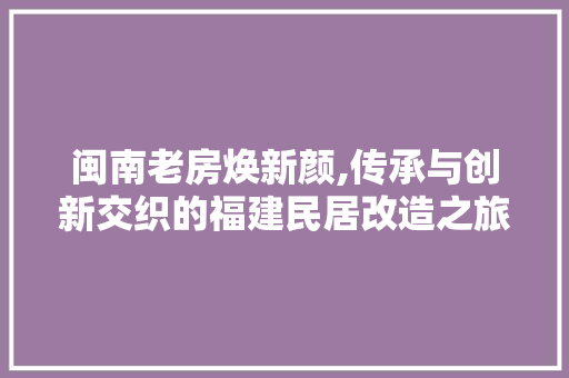 闽南老房焕新颜,传承与创新交织的福建民居改造之旅