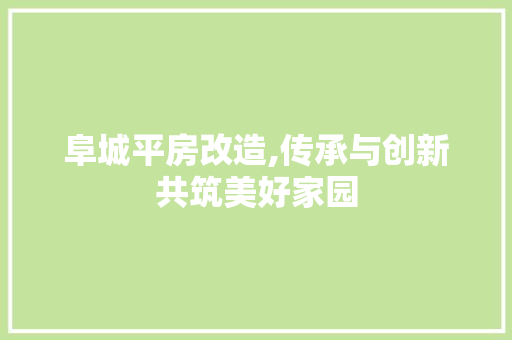 阜城平房改造,传承与创新共筑美好家园