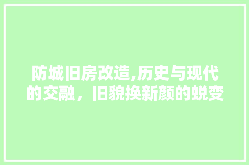 防城旧房改造,历史与现代的交融，旧貌换新颜的蜕变之旅 景观设计