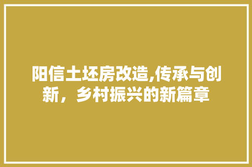 阳信土坯房改造,传承与创新，乡村振兴的新篇章