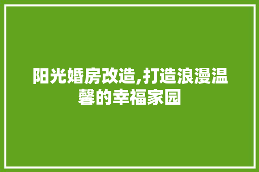 阳光婚房改造,打造浪漫温馨的幸福家园