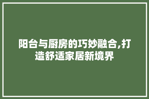 阳台与厨房的巧妙融合,打造舒适家居新境界