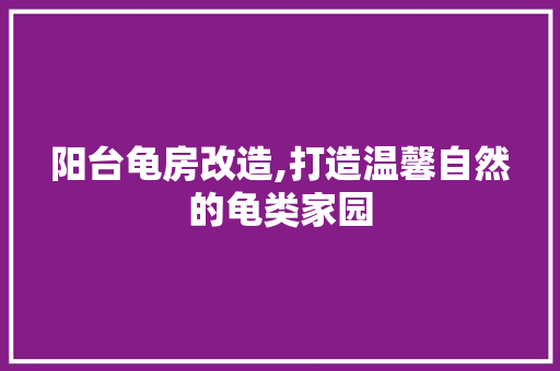 阳台龟房改造,打造温馨自然的龟类家园