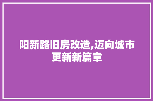 阳新路旧房改造,迈向城市更新新篇章