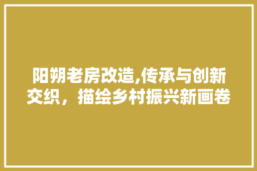 阳朔老房改造,传承与创新交织，描绘乡村振兴新画卷
