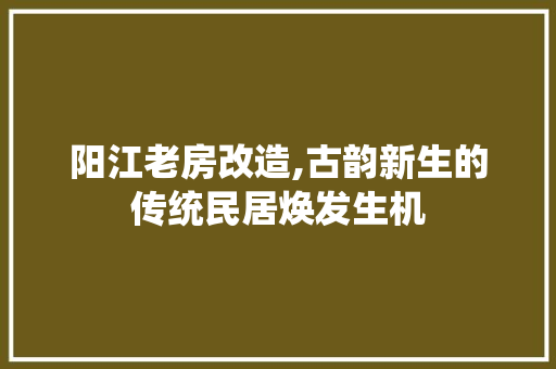 阳江老房改造,古韵新生的传统民居焕发生机 门窗装修