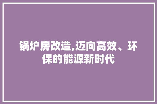 锅炉房改造,迈向高效、环保的能源新时代 墙面装饰