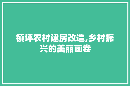 镇坪农村建房改造,乡村振兴的美丽画卷