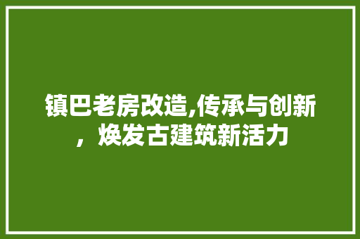 镇巴老房改造,传承与创新，焕发古建筑新活力 墙面装饰