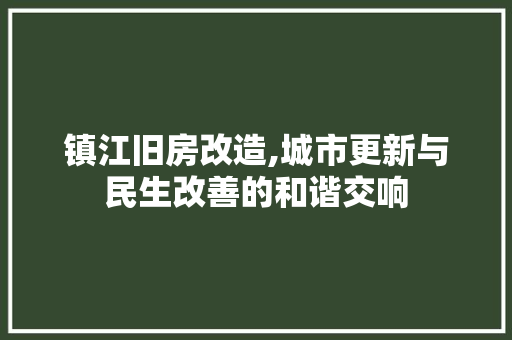 镇江旧房改造,城市更新与民生改善的和谐交响 建筑设计