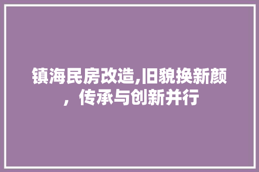 镇海民房改造,旧貌换新颜，传承与创新并行