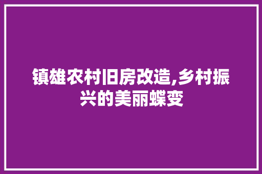 镇雄农村旧房改造,乡村振兴的美丽蝶变 建筑设计