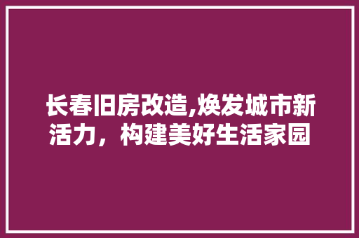 长春旧房改造,焕发城市新活力，构建美好生活家园