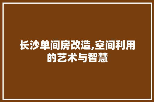 长沙单间房改造,空间利用的艺术与智慧