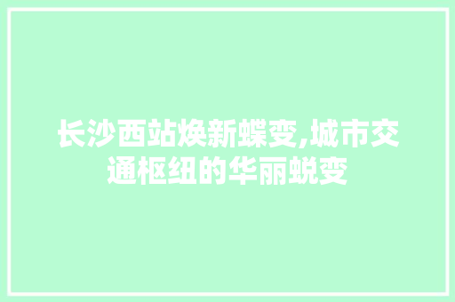 长沙西站焕新蝶变,城市交通枢纽的华丽蜕变
