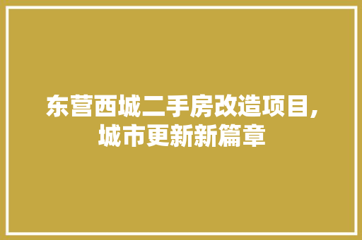 东营西城二手房改造项目,城市更新新篇章