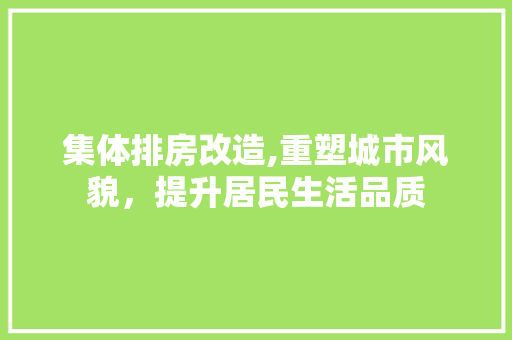 集体排房改造,重塑城市风貌，提升居民生活品质