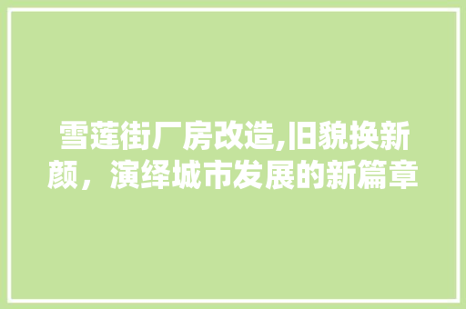 雪莲街厂房改造,旧貌换新颜，演绎城市发展的新篇章