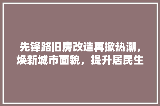 先锋路旧房改造再掀热潮，焕新城市面貌，提升居民生活品质 建筑设计