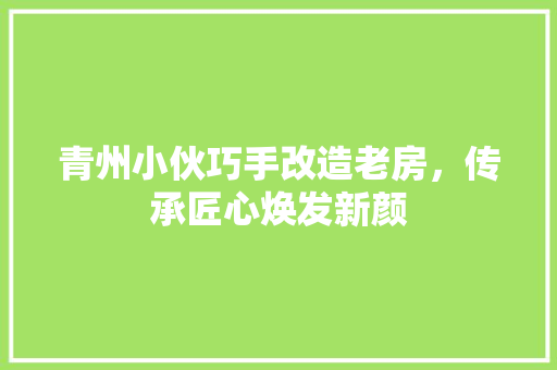 青州小伙巧手改造老房，传承匠心焕发新颜