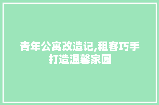 青年公寓改造记,租客巧手打造温馨家园