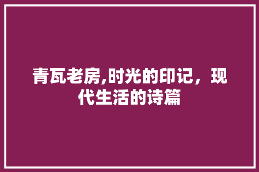 青瓦老房,时光的印记，现代生活的诗篇