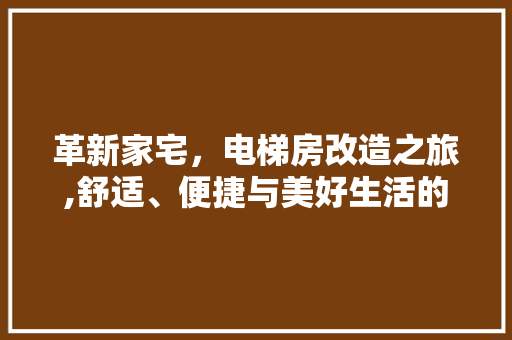 革新家宅，电梯房改造之旅,舒适、便捷与美好生活的交响曲