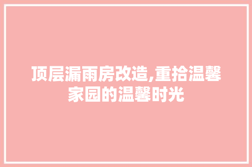 顶层漏雨房改造,重拾温馨家园的温馨时光
