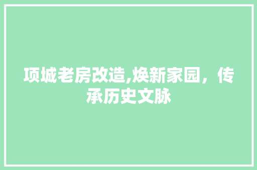项城老房改造,焕新家园，传承历史文脉