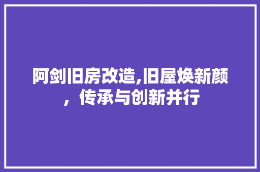 阿剑旧房改造,旧屋焕新颜，传承与创新并行