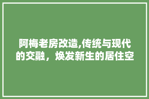 阿梅老房改造,传统与现代的交融，焕发新生的居住空间