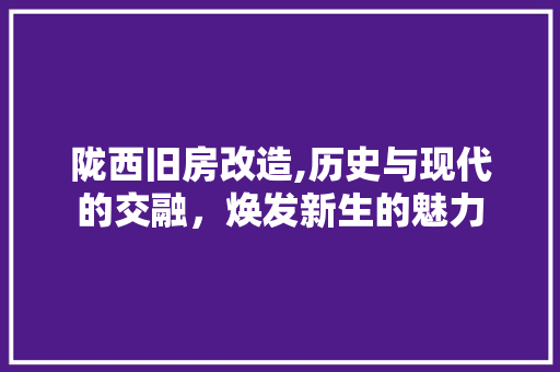陇西旧房改造,历史与现代的交融，焕发新生的魅力