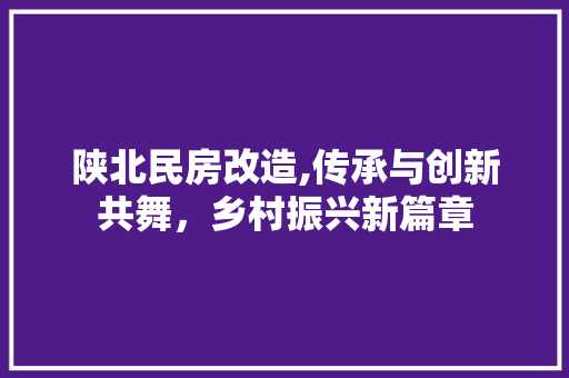 陕北民房改造,传承与创新共舞，乡村振兴新篇章