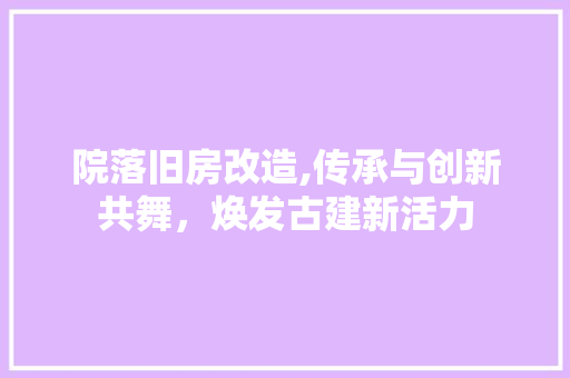 院落旧房改造,传承与创新共舞，焕发古建新活力