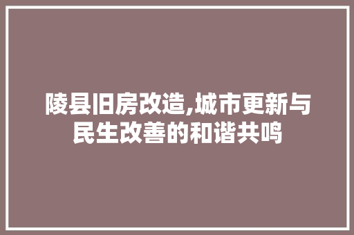 陵县旧房改造,城市更新与民生改善的和谐共鸣