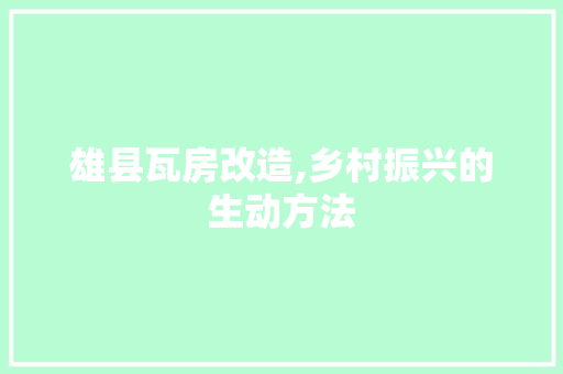 雄县瓦房改造,乡村振兴的生动方法 隔断设计