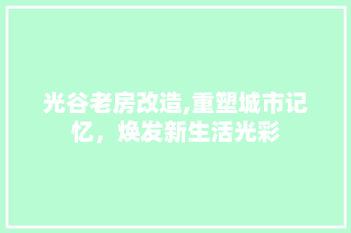 光谷老房改造,重塑城市记忆，焕发新生活光彩 装修材料