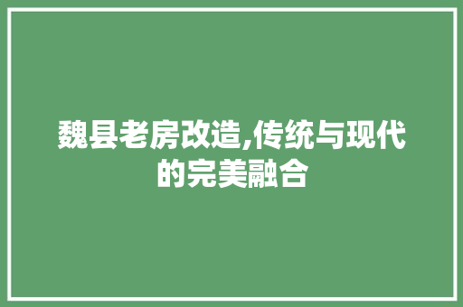 魏县老房改造,传统与现代的完美融合 隔断设计