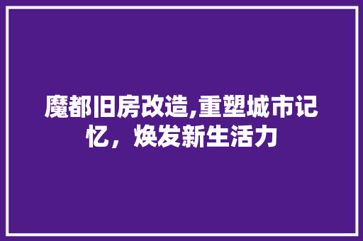 魔都旧房改造,重塑城市记忆，焕发新生活力