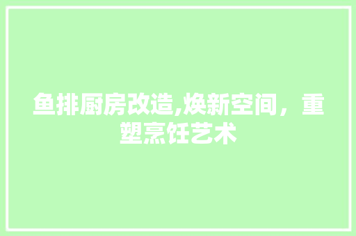 鱼排厨房改造,焕新空间，重塑烹饪艺术