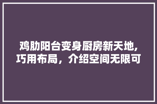 鸡肋阳台变身厨房新天地,巧用布局，介绍空间无限可能