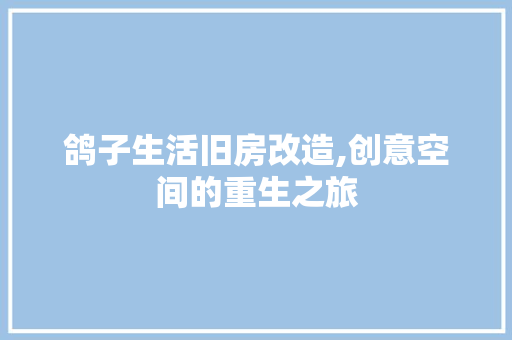 鸽子生活旧房改造,创意空间的重生之旅