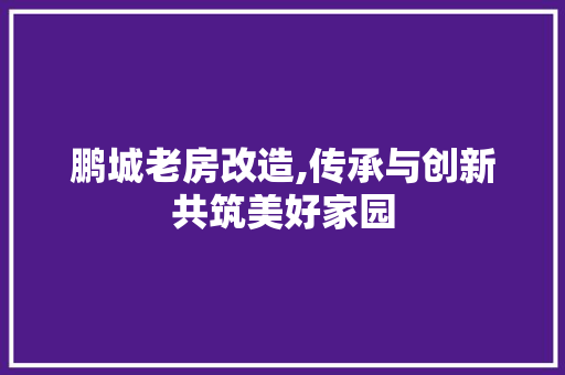 鹏城老房改造,传承与创新共筑美好家园