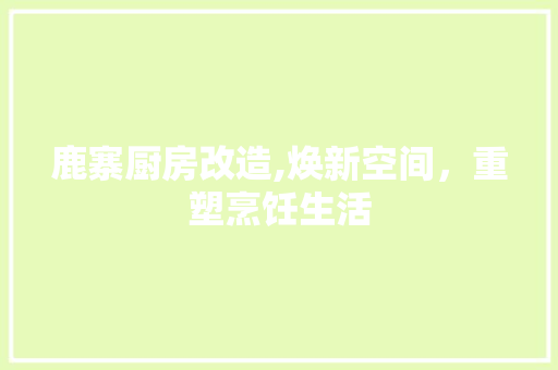 鹿寨厨房改造,焕新空间，重塑烹饪生活