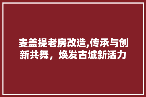 麦盖提老房改造,传承与创新共舞，焕发古城新活力