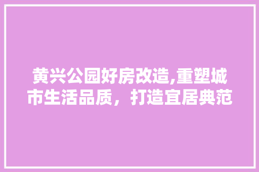 黄兴公园好房改造,重塑城市生活品质，打造宜居典范 地面装修