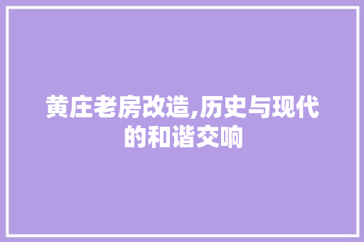 黄庄老房改造,历史与现代的和谐交响 地面装修
