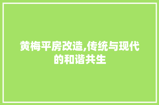 黄梅平房改造,传统与现代的和谐共生