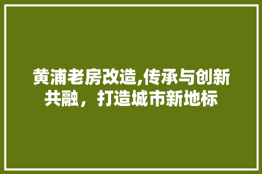 黄浦老房改造,传承与创新共融，打造城市新地标